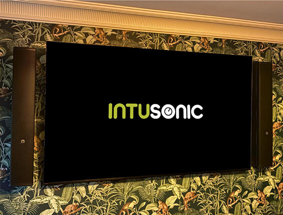 Intusonic INTUCAB 4VM100T Ultimate Loudspeaker Column Array Multimedia Modern